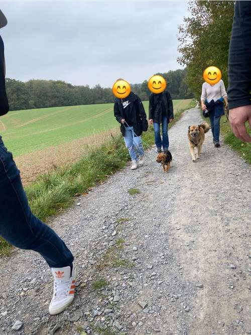 Hundeauslaufgebiet-Hundeschule Smart Dogs Wuppertal-Bild