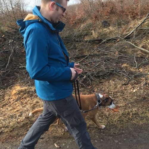 Hundeauslaufgebiet-Hundeschule Smart Dogs Wuppertal-Bild