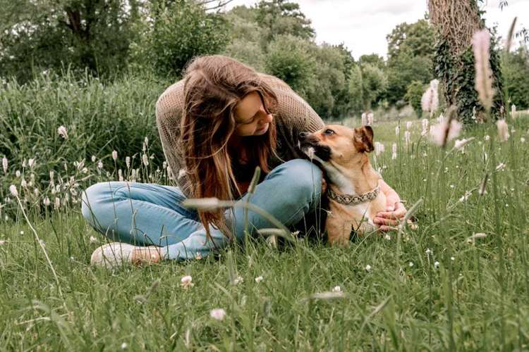 Hundeauslaufgebiet-Main Hundeglück-Bild