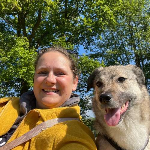Hundeauslaufgebiet-Stinas Hundeschule-Bild