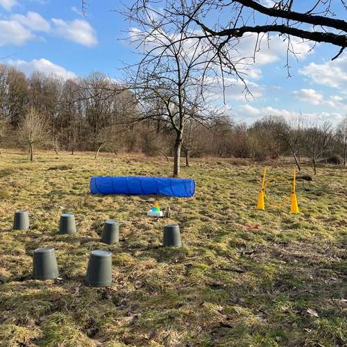 Hundeauslaufgebiet-Stinas Hundeschule-Bild