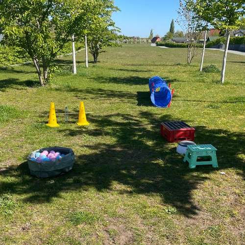 Hundeauslaufgebiet-Stinas Hundeschule-Bild