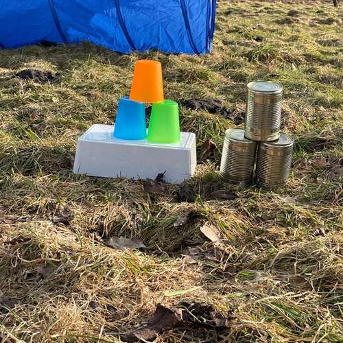 Hundeauslaufgebiet-Stinas Hundeschule-Bild