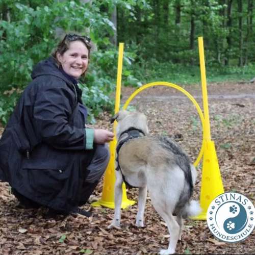 Hundeauslaufgebiet-Stinas Hundeschule-Bild