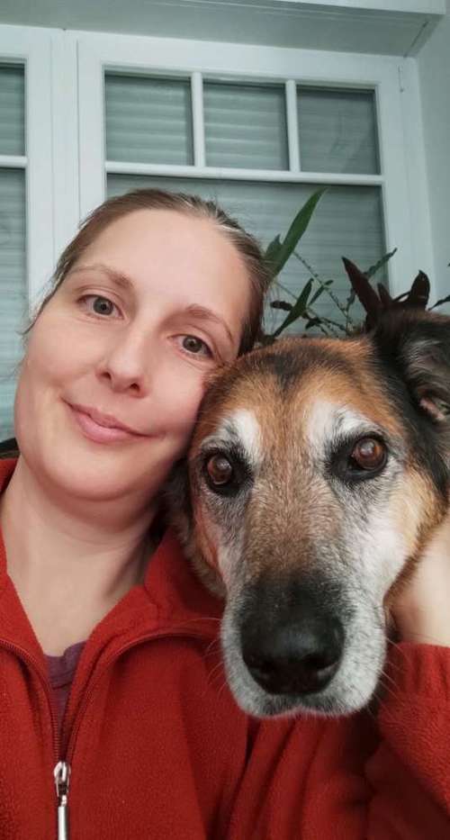 Hundeauslaufgebiet-LAMALO Seelensprache-Bild