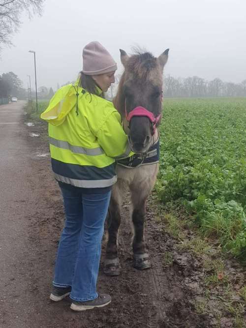 Hundeauslaufgebiet-LAMALO Seelensprache-Bild