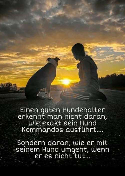 Hundeauslaufgebiet-LAMALO Seelensprache-Bild