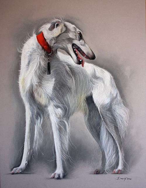 Hundeauslaufgebiet-Kunst Olga David ( Tiermalerei)-Bild