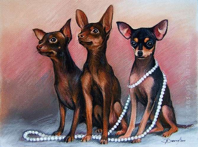 Hundeauslaufgebiet-Kunst Olga David ( Tiermalerei)-Bild