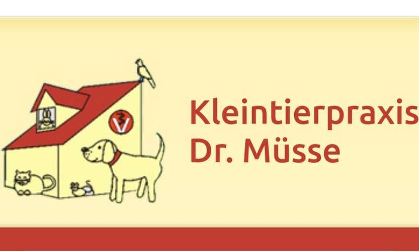 Hundeauslaufgebiet-Dr. Müsse-Bild