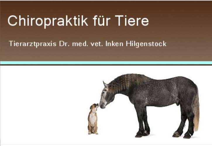 Hundeauslaufgebiet-Dr. Inken Hilgenstock-Bild
