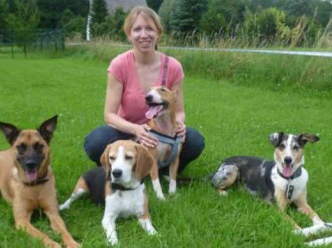 Hundeauslaufgebiet-Hundetraining & Hundebetreuung TÄ Simone Drechsler-Bild