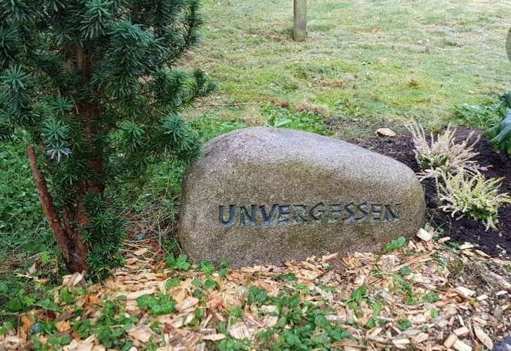 Hundeauslaufgebiet-Tierfriedhof Celle-Bild