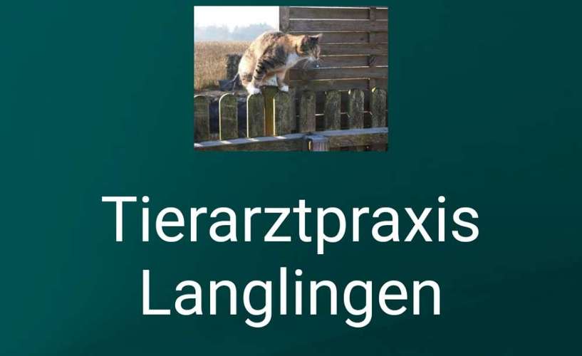 Hundeauslaufgebiet-Dr. Schlesselmann-Bild