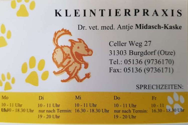 Hundeauslaufgebiet-Dr. Antje Midasch-Kaske-Bild