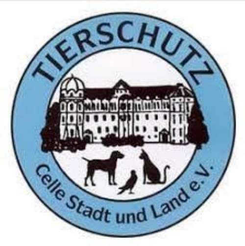 Hundeauslaufgebiet-Tierschutz Celle-Bild