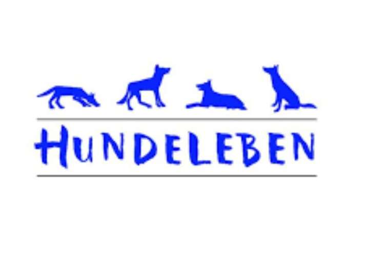 Hundeauslaufgebiet-Hundeschule Hundeleben Inh. Ute Hubbe-Bild