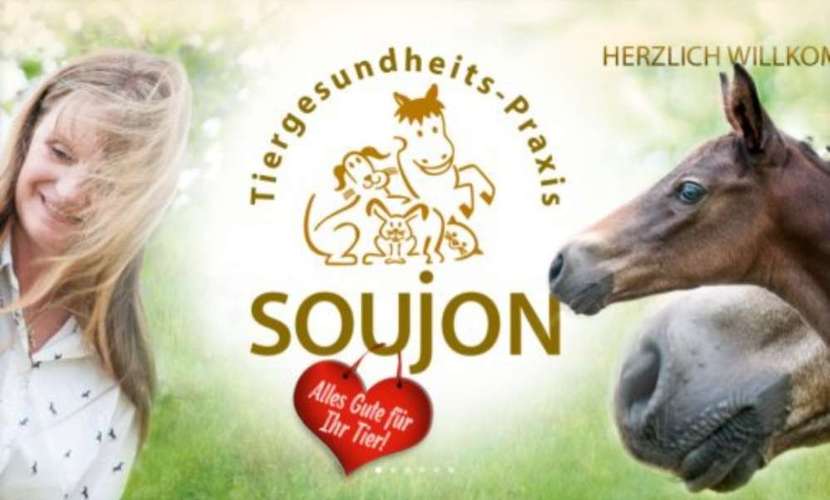 Hundeauslaufgebiet-Tierarztpraxis Soujon-Bild