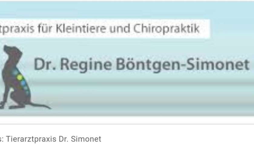 Hundeauslaufgebiet-Dr. Regine Böntgen-Simonet-Bild