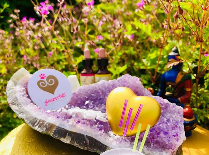 Hundeauslaufgebiet-TIERHEILPRAXIS •glanzerfüllt•-Bild