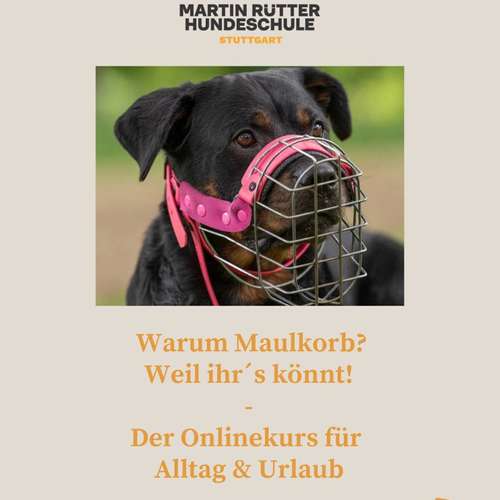 Hundeauslaufgebiet-Martin Rütter Hundeschule Stuttgart-Bild