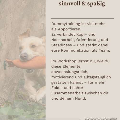 Hundeauslaufgebiet-Martin Rütter Hundeschule Stuttgart-Bild