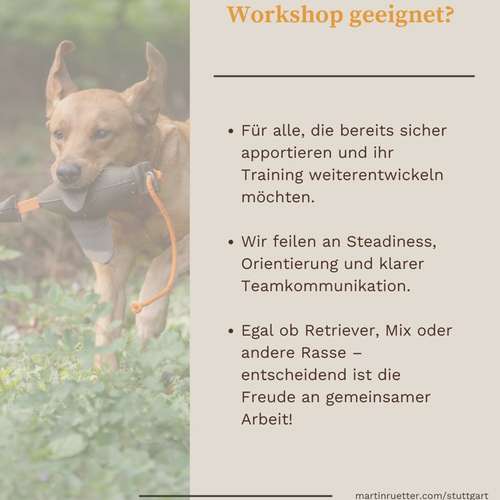 Hundeauslaufgebiet-Martin Rütter Hundeschule Stuttgart-Bild