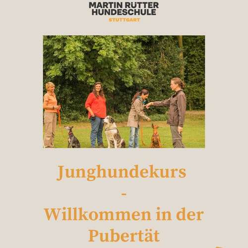 Hundeauslaufgebiet-Martin Rütter Hundeschule Stuttgart-Bild
