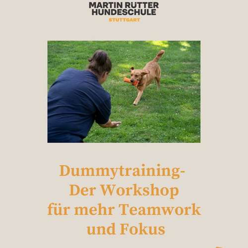 Hundeauslaufgebiet-Martin Rütter Hundeschule Stuttgart-Bild