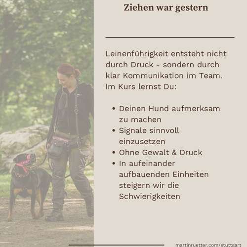 Hundeauslaufgebiet-Martin Rütter Hundeschule Stuttgart-Bild