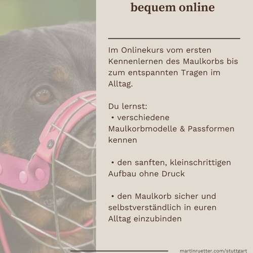 Hundeauslaufgebiet-Martin Rütter Hundeschule Stuttgart-Bild