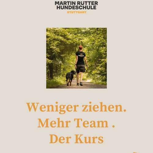 Hundeauslaufgebiet-Martin Rütter Hundeschule Stuttgart-Bild