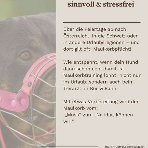 Hundeauslaufgebiet-Martin Rütter Hundeschule Stuttgart-Bild