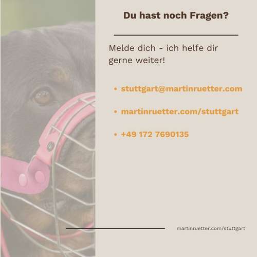 Hundeauslaufgebiet-Martin Rütter Hundeschule Stuttgart-Bild