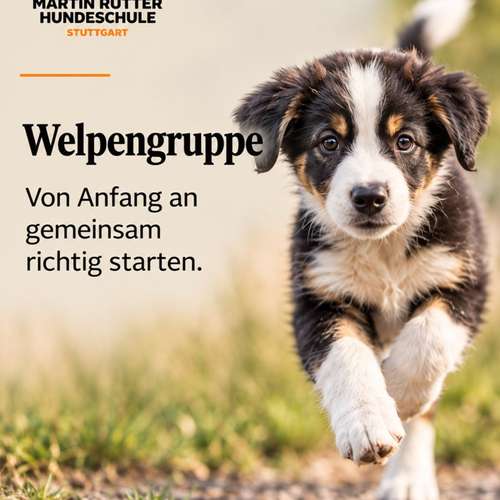 Hundeauslaufgebiet-Martin Rütter Hundeschule Stuttgart-Bild