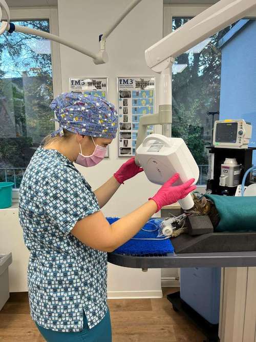 Hundeauslaufgebiet-Tierarztpraxis im Schwabachgrund-Bild