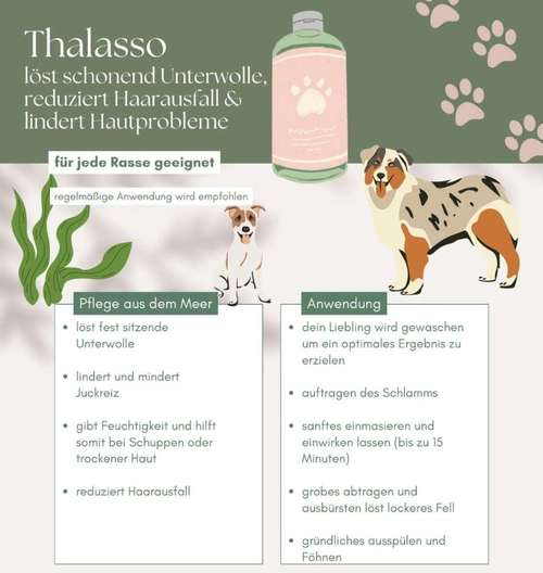 Hundeauslaufgebiet-Lieblingsplatz - die Hundefriseurin für Hunde & Katzen-Bild