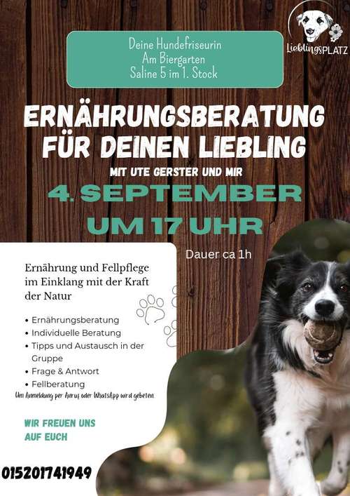 Hundeauslaufgebiet-Lieblingsplatz - die Hundefriseurin für Hunde & Katzen-Bild