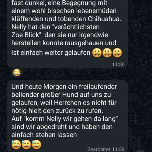 Hundeauslaufgebiet-Glückliche Hundepfoten by Catrin Hendl-Bild