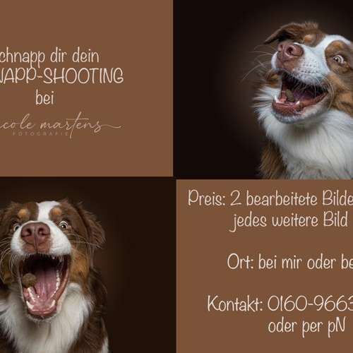 Hundeauslaufgebiet-Nicole Martens Fotografie-Bild