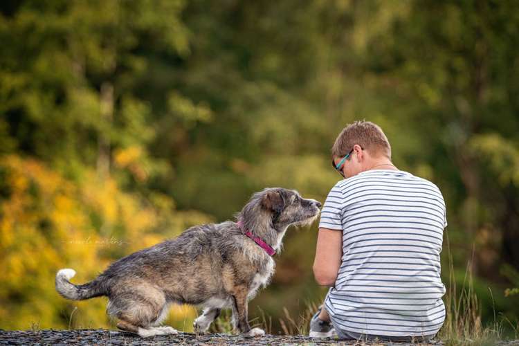 Hundeauslaufgebiet-Nicole Martens Fotografie-Bild