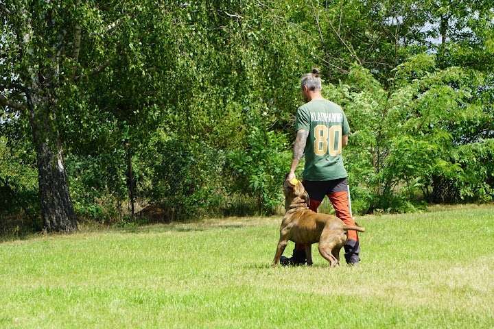 Hundeauslaufgebiet-SV OG Babenhausen-Bild