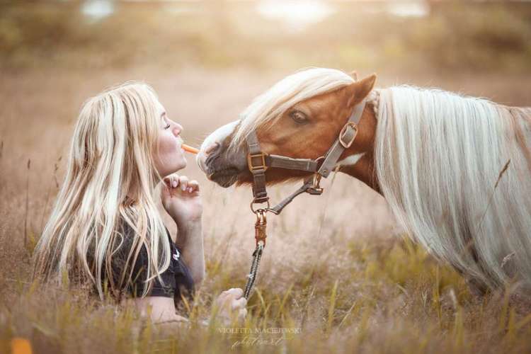 Hundeauslaufgebiet-VIOLETTA-DSH Fotografie Violetta Hanau-Bild