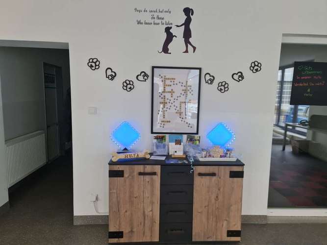 Hundeauslaufgebiet-Verstehst du mich? & mehr-Bild