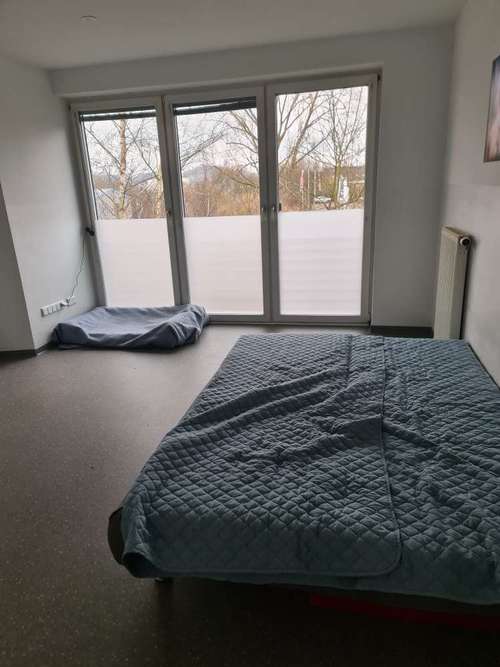 Hundeauslaufgebiet-Verstehst du mich? & mehr-Bild