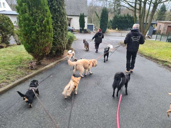 Hundeauslaufgebiet-Verstehst du mich? & mehr-Bild