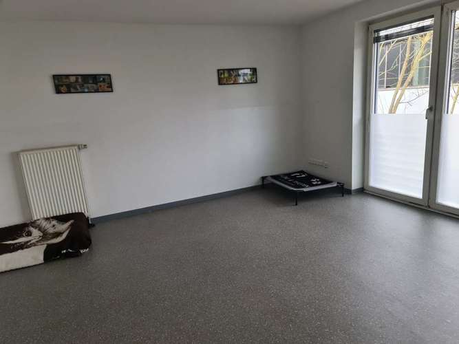 Hundeauslaufgebiet-Verstehst du mich? & mehr-Bild