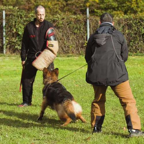 Hundeauslaufgebiet-Hundeschule K1-K9s-Bild