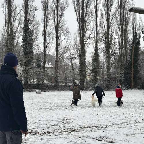 Hundeauslaufgebiet-Hundeschule K1-K9s-Bild