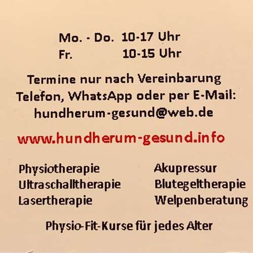 Hundeauslaufgebiet-Hundherum-gesund-Bild
